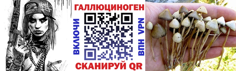 Псилоцибиновые грибы мицелий  Шарья 